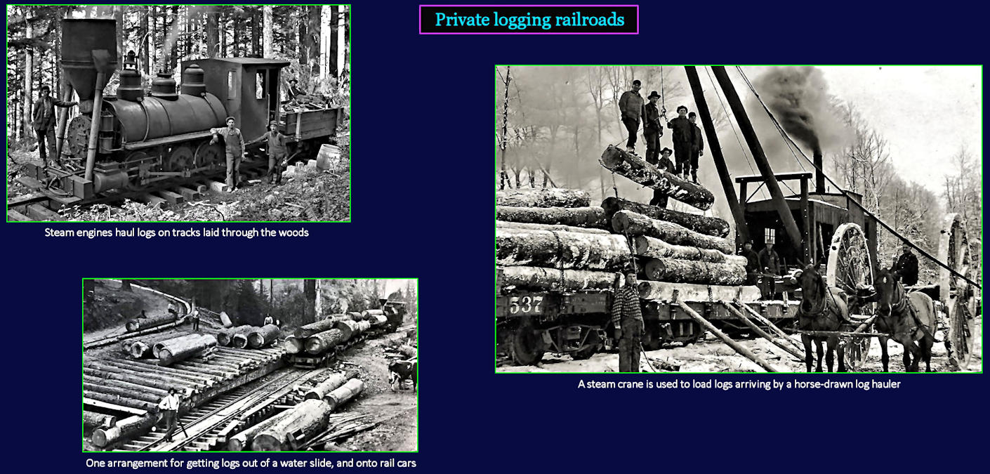 Hauling wood by rail, 1910